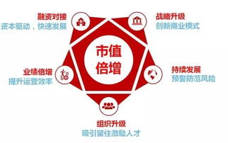 華一世紀(jì)企業(yè)管理顧問 股權(quán)激勵咨詢產(chǎn)品中心解決方案